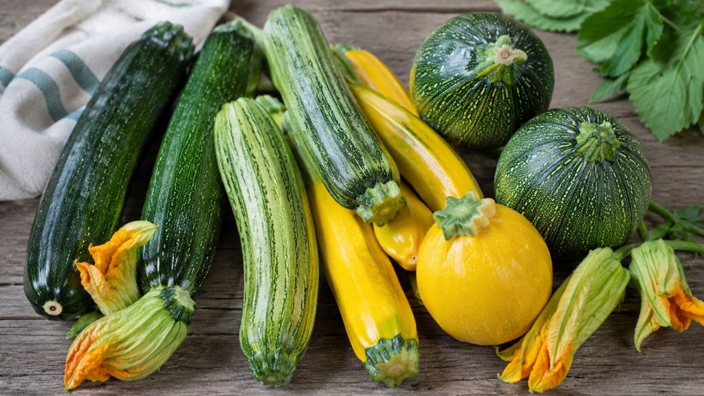 Différentes variétés de courgettes : vertes, jaunes, rondes ou encore fleurs de courgettes
